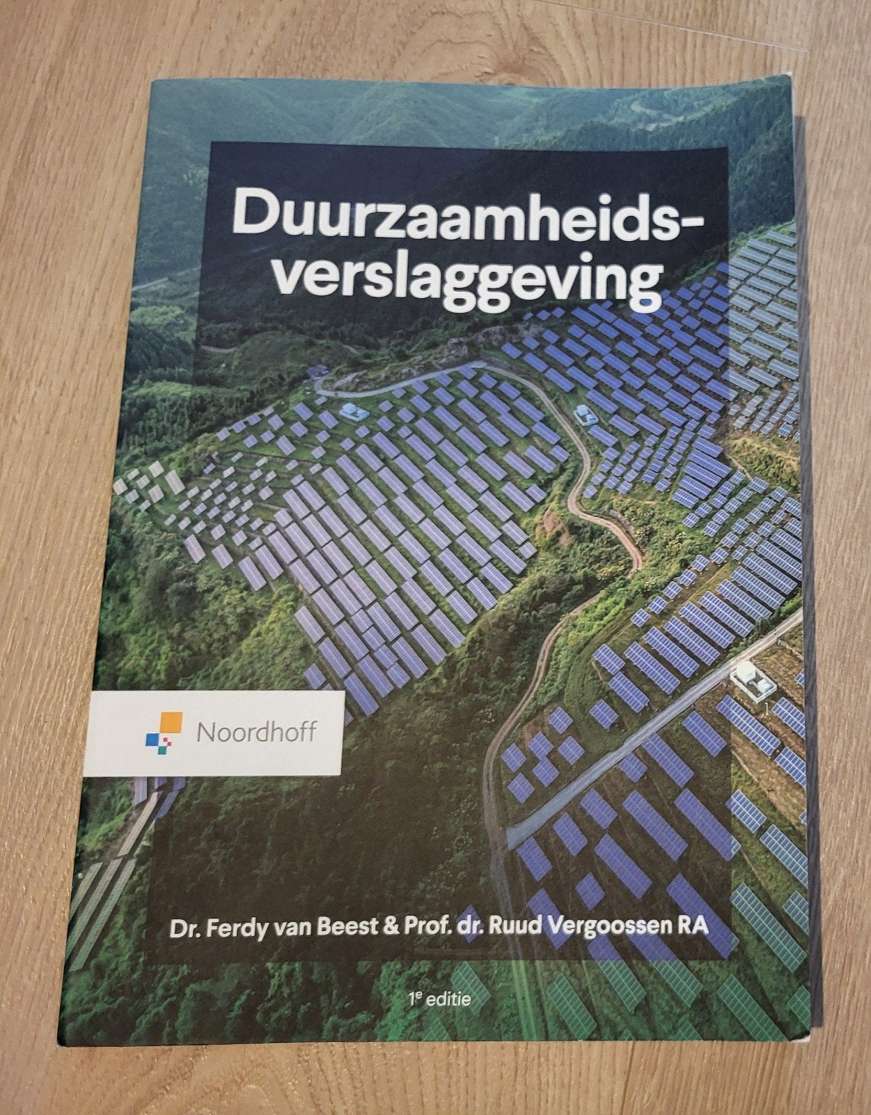 Ferdy van Beest - Duurzaamheidsverslaggeving, Ferdy van Beest; Ruud Vergoossen, Ophalen of Verzenden, Management, Zo goed als nieuw