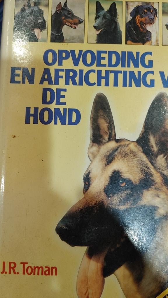 Opvoeding en africhting van de hond - J.R. Toman, Ophalen of Verzenden, Gelezen, Honden, J.R. Toman