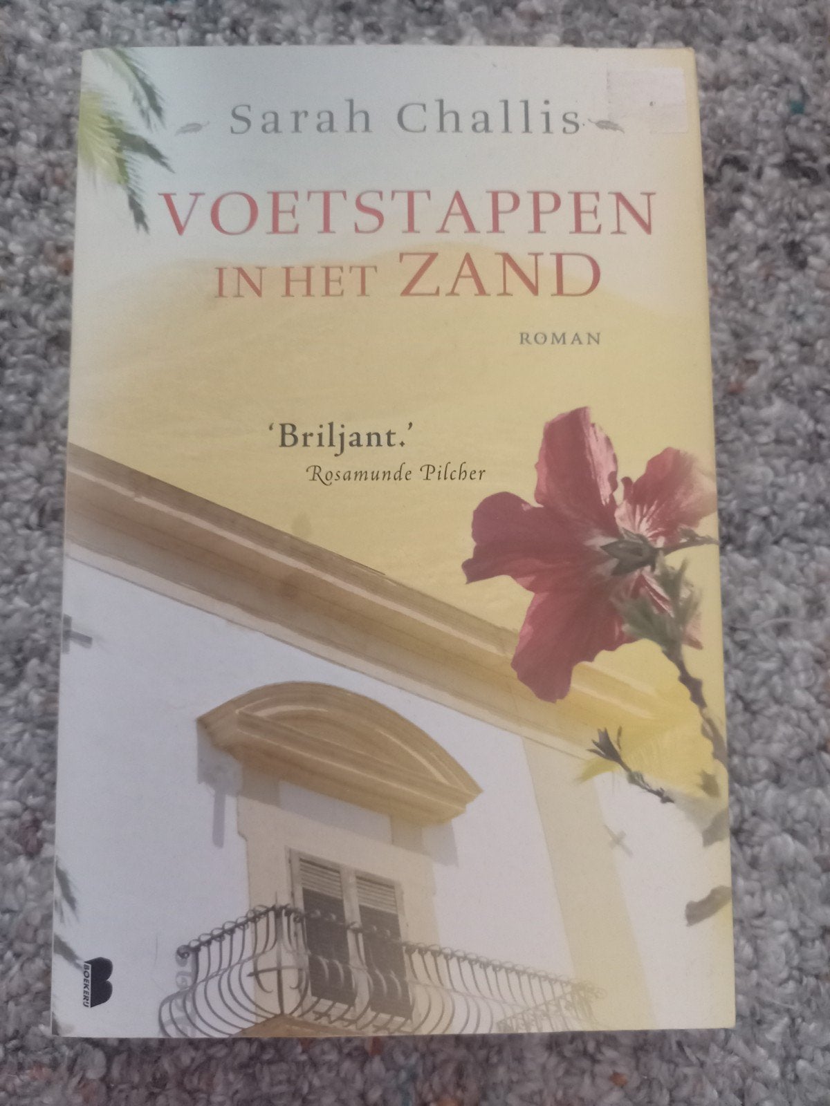 g3 Voetstappen in het Zand - Sarah Challis (Roman), Boeken, Ophalen of Verzenden, Zo goed als nieuw, Sarah Challis, Nederland