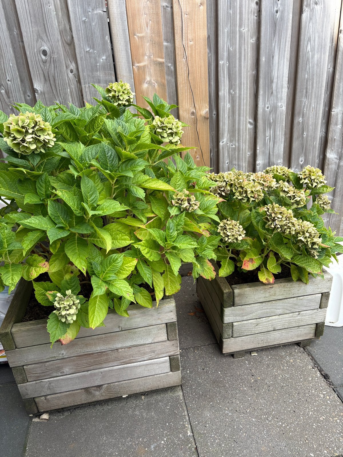 Gratis af te halen, 3x houten plantenbak, Tuin en Terras, Ophalen, Gebruikt, 40 cm of meer, Vierkant