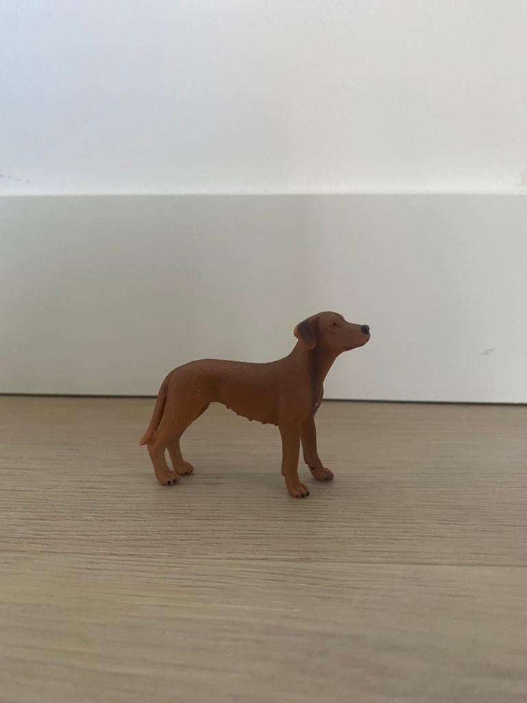 Schleich Vizsla ~ 2020, Ophalen of Verzenden, Zo goed als nieuw, Paard, Beeldje of Figuurtje