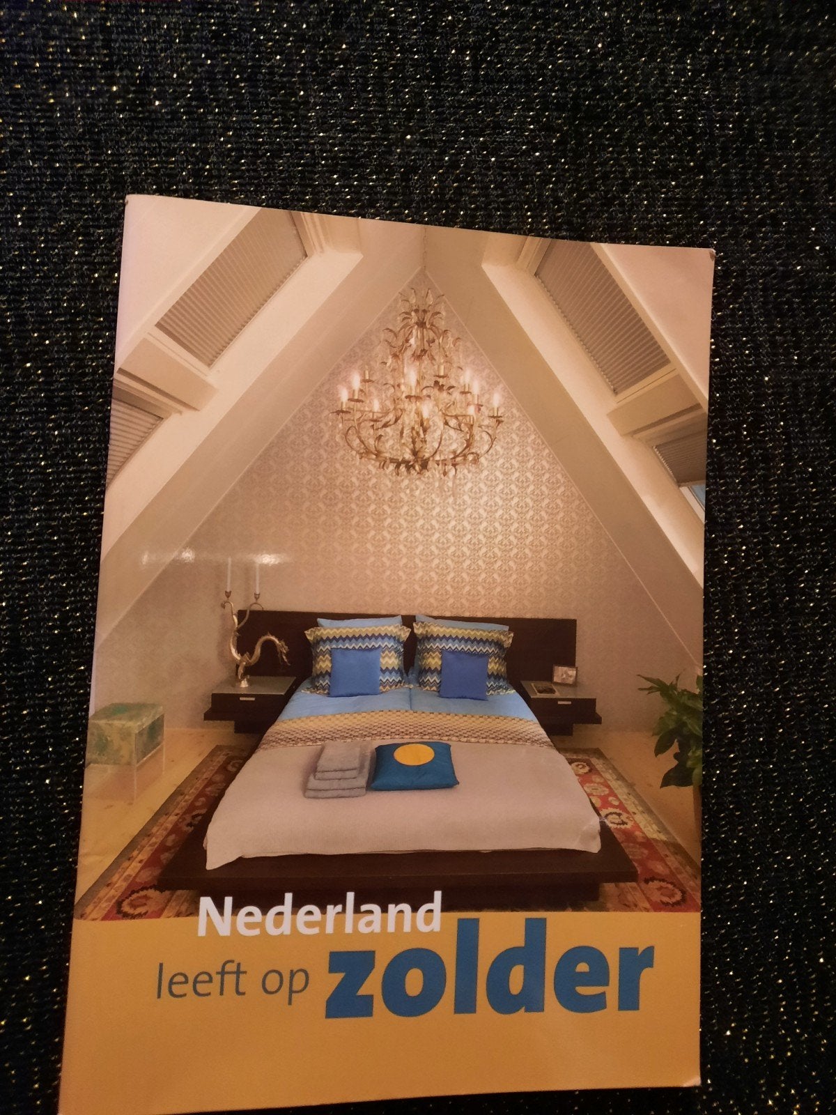 Nederland leeft op zolder - Inspiratieboek zolderverbouwing, Ophalen of Verzenden, Nieuw, Interieur en Design