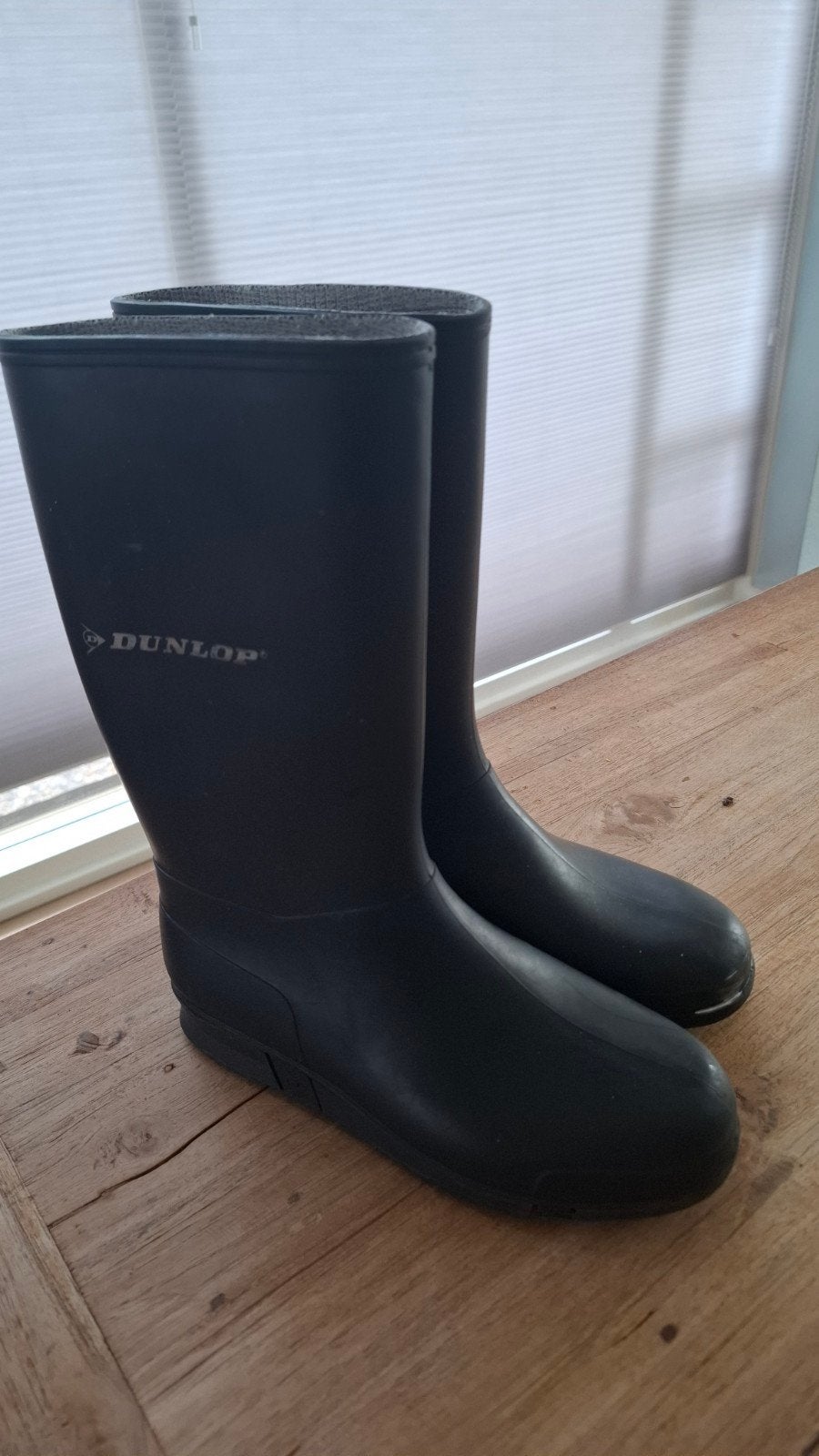 Dunlop laarzen maat 34, Ophalen, Gebruikt, Dunlop, Jongen of Meisje