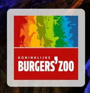 Burgers' Zoo x2, Tickets en Kaartjes, Twee personen, Ticket of Toegangskaart
