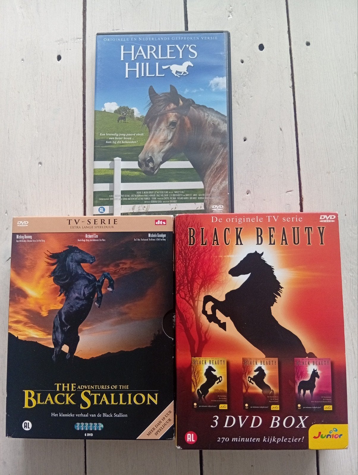 Black Beauty & The Black Stallion Collectie + Harley's Hi, Cd's en Dvd's, Dvd's | Kinderen en Jeugd, Verzamelbox, Alle leeftijden