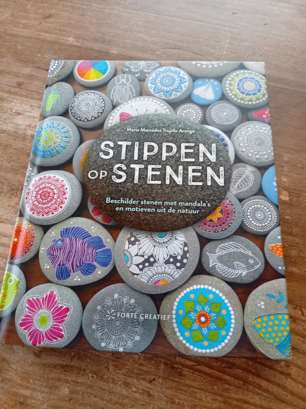 Nieuw boek 'Stippen op Stenen' + 3kg stenen om te beginnen, Ophalen of Verzenden, Nieuw, Overige onderwerpen, Maria Mercedes Trujillo Arango