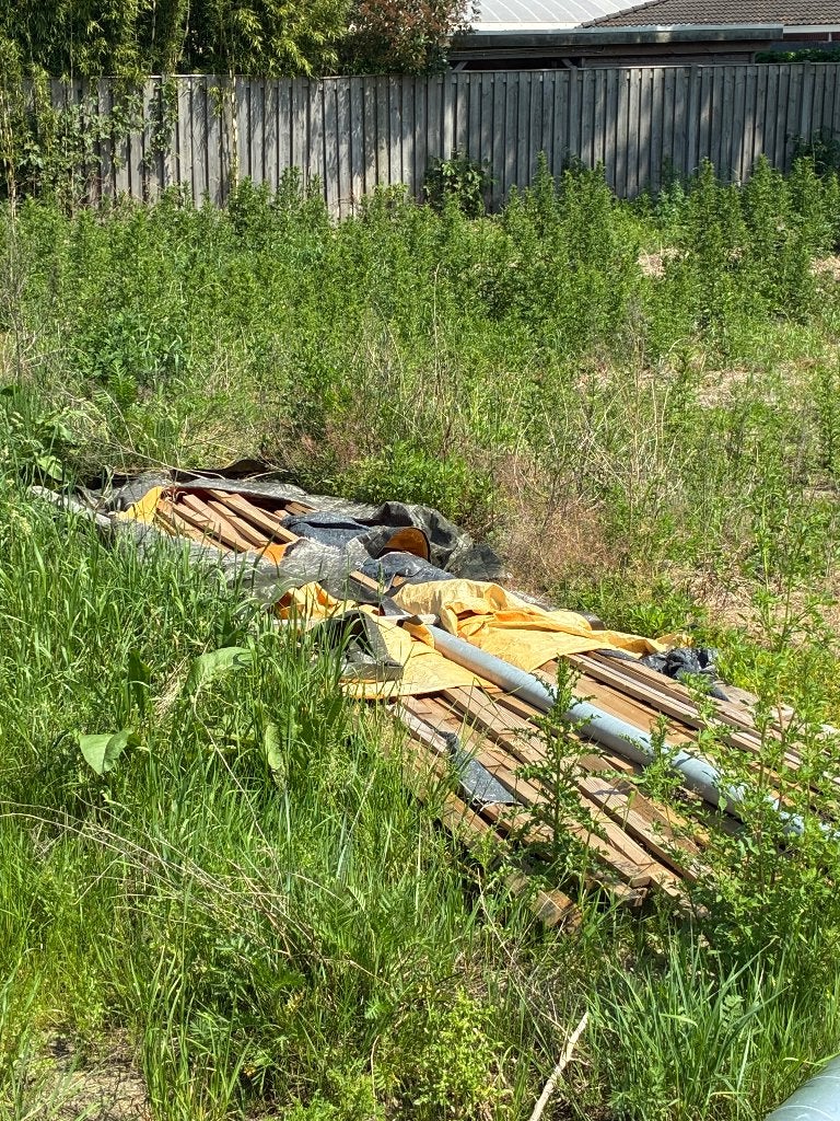 Gratis hout, Doe-het-zelf en Verbouw, Hout en Planken, Ophalen, Gebruikt, 25 tot 50 mm, 300 cm of meer