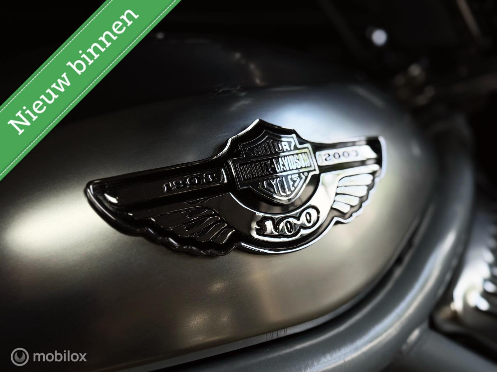 Harley Davidson VRSCA V-Rod | Screamin' Eagle | 5HD |, Motoren, Chopper, Bedrijf, 1130 cc, Meer dan 35 kW