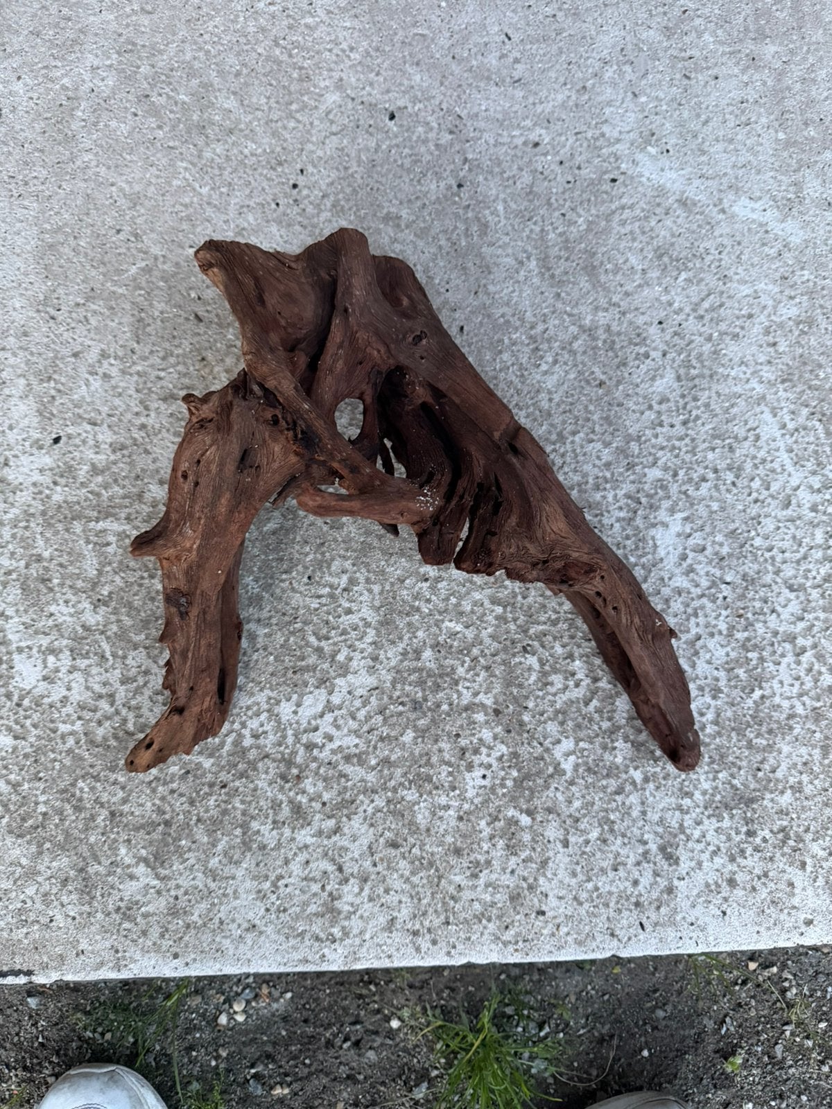 Aquarium hout klaarvoor gebruik (uitgekookt etc), Dieren en Toebehoren, Ophalen, Zo goed als nieuw, Tak, Plant, Rots of Steen
