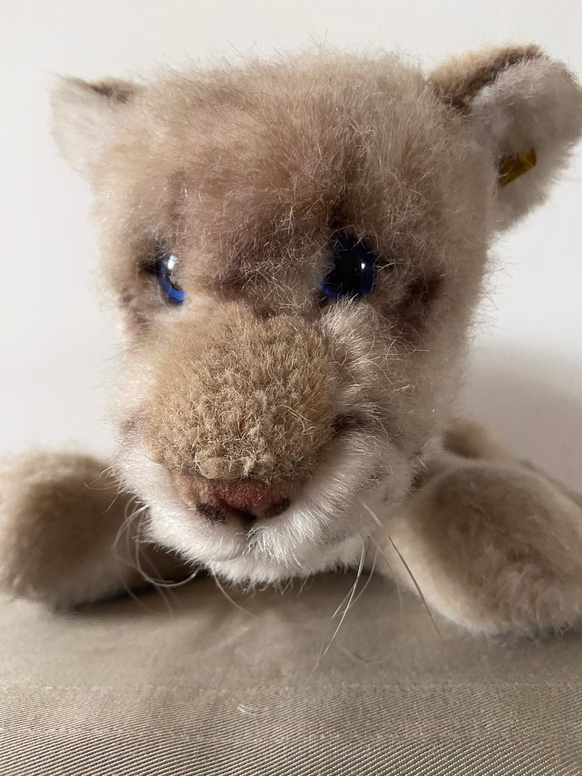 Steiff poema welp Drally, 6315/40, 40cm, Ophalen of Verzenden, Zo goed als nieuw, Overige typen, Steiff