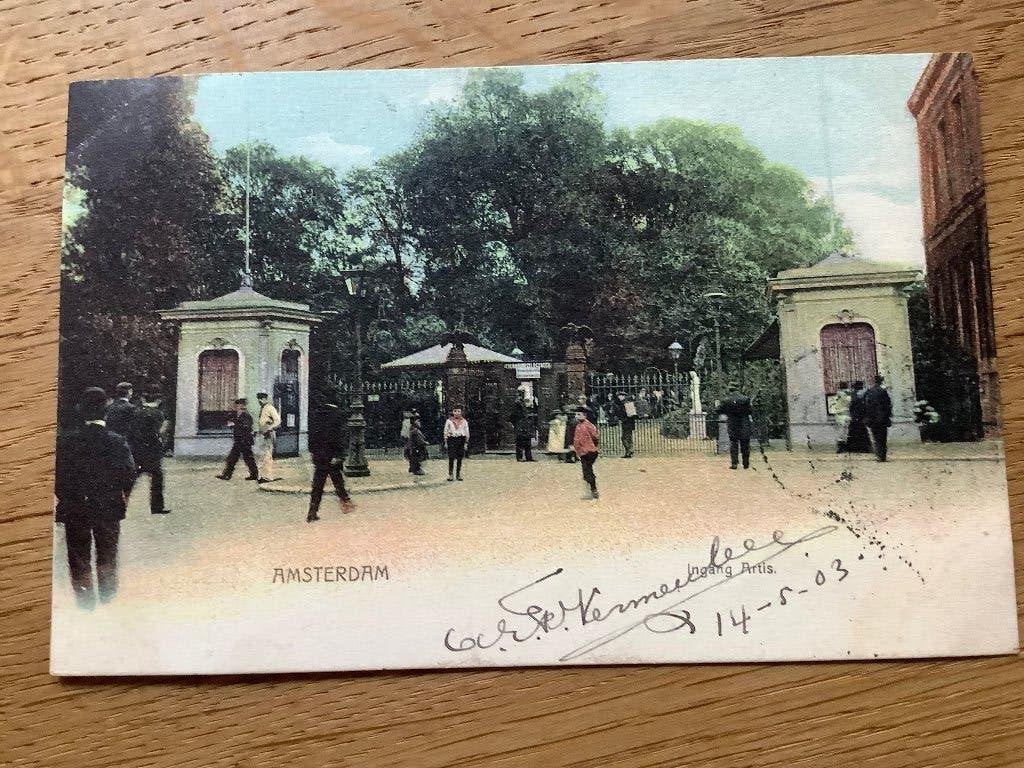 Amsterdam 1903 Artis, Ophalen of Verzenden, Voor 1920, Gelopen, Noord-Holland