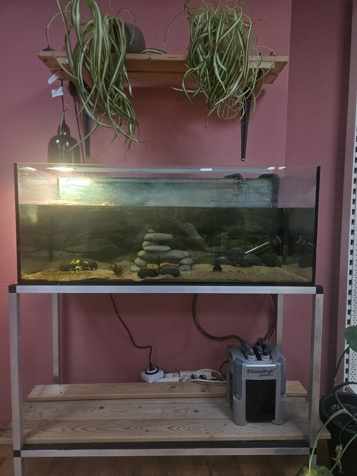 Aquarium voor schildpad, Ophalen, Zo goed als nieuw, Overige typen