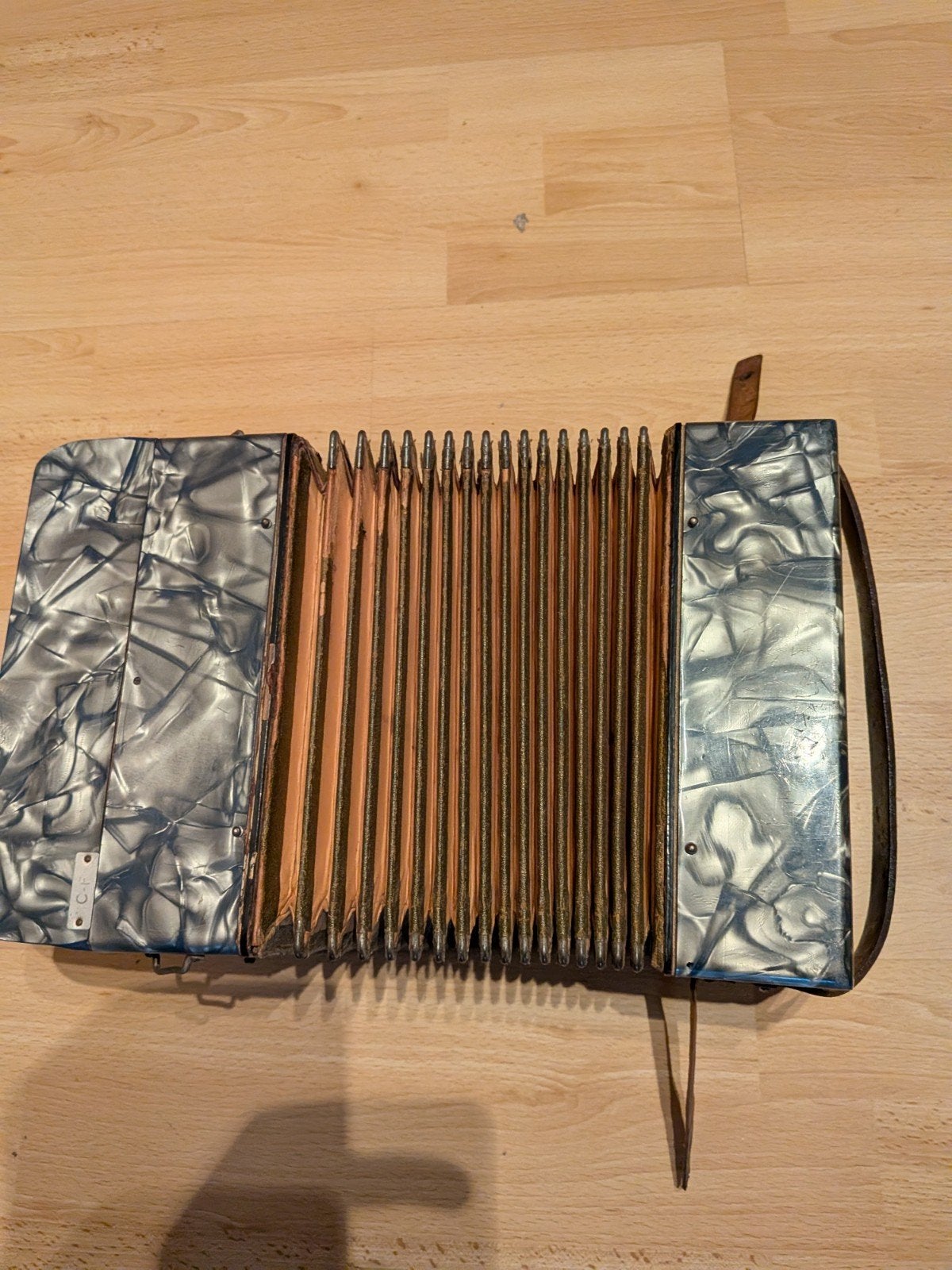 Vintage Accordeon "Lloyd Brand" - 80 jaar oud in, Overige merken, Gebruikt, Met riemen, Overige formaten