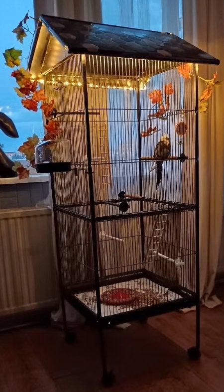 Staande vogelkooi., Dieren en Toebehoren, Ophalen, Zo goed als nieuw, Metaal, Vogelkooi