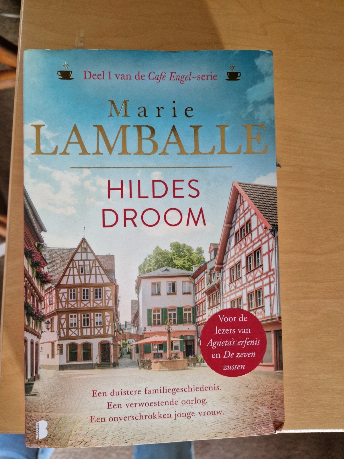 Hildes droom- Marie Lamballe, Ophalen of Verzenden, Zo goed als nieuw, Marie Lamballe