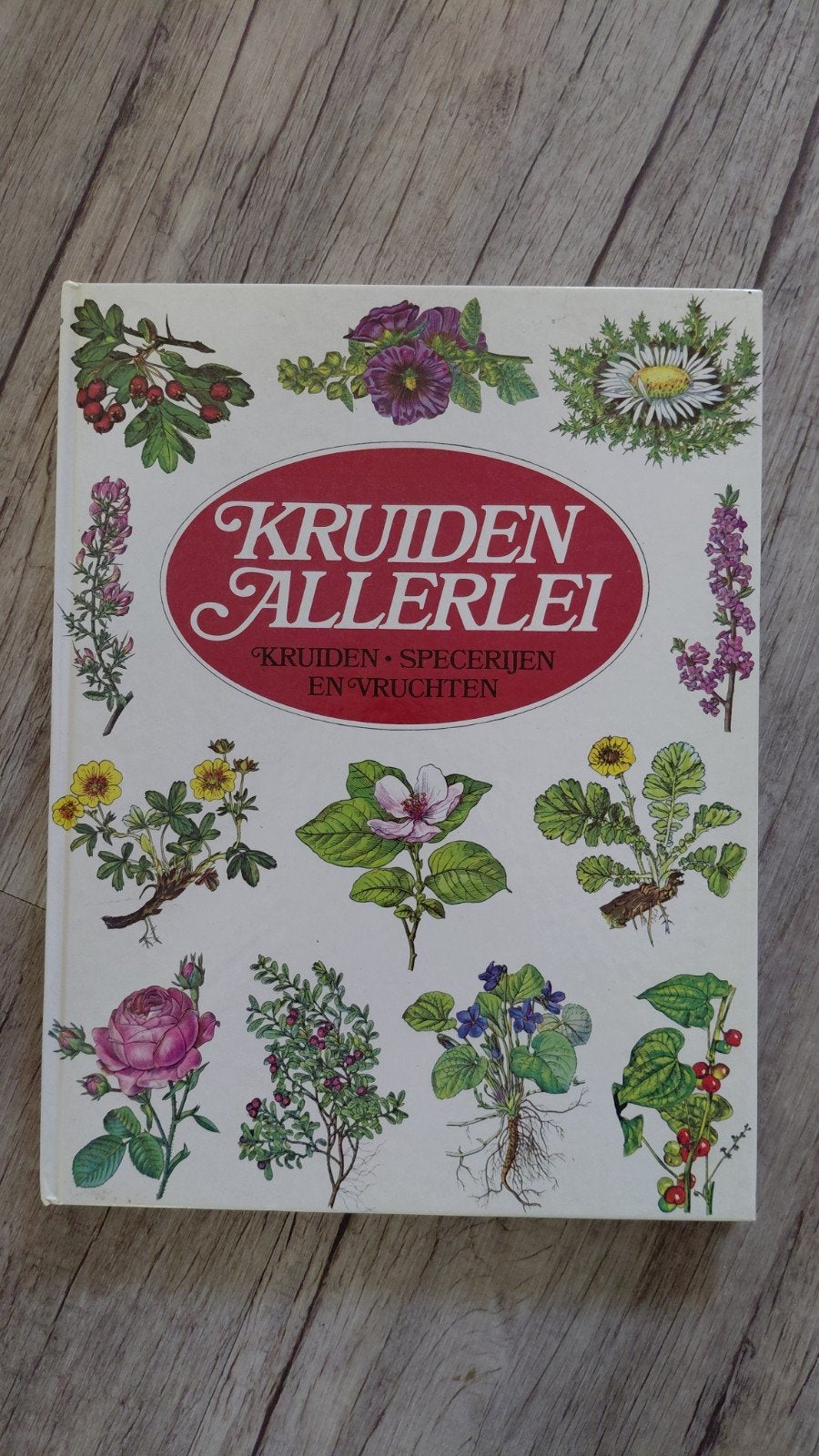 Kruiden Allerlei: Kruiden, Specerijen en Vruchten, Ophalen of Verzenden, Gelezen, Kruiden en Alternatief, Prof. Dr. Hans Flück en Dr. Rita Jaspersen-Schib