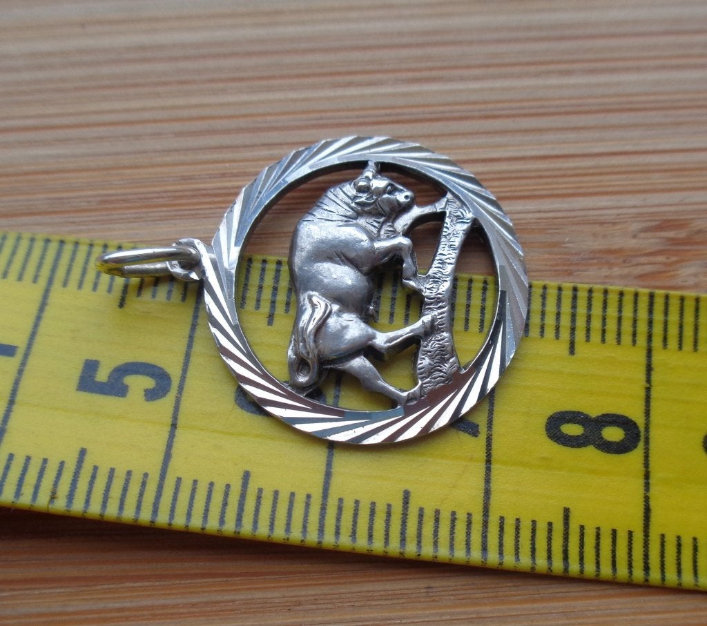 zilveren bedel/hanger sterrenbeeld stier [216], Verzenden, Zo goed als nieuw, Zilver, Zilver