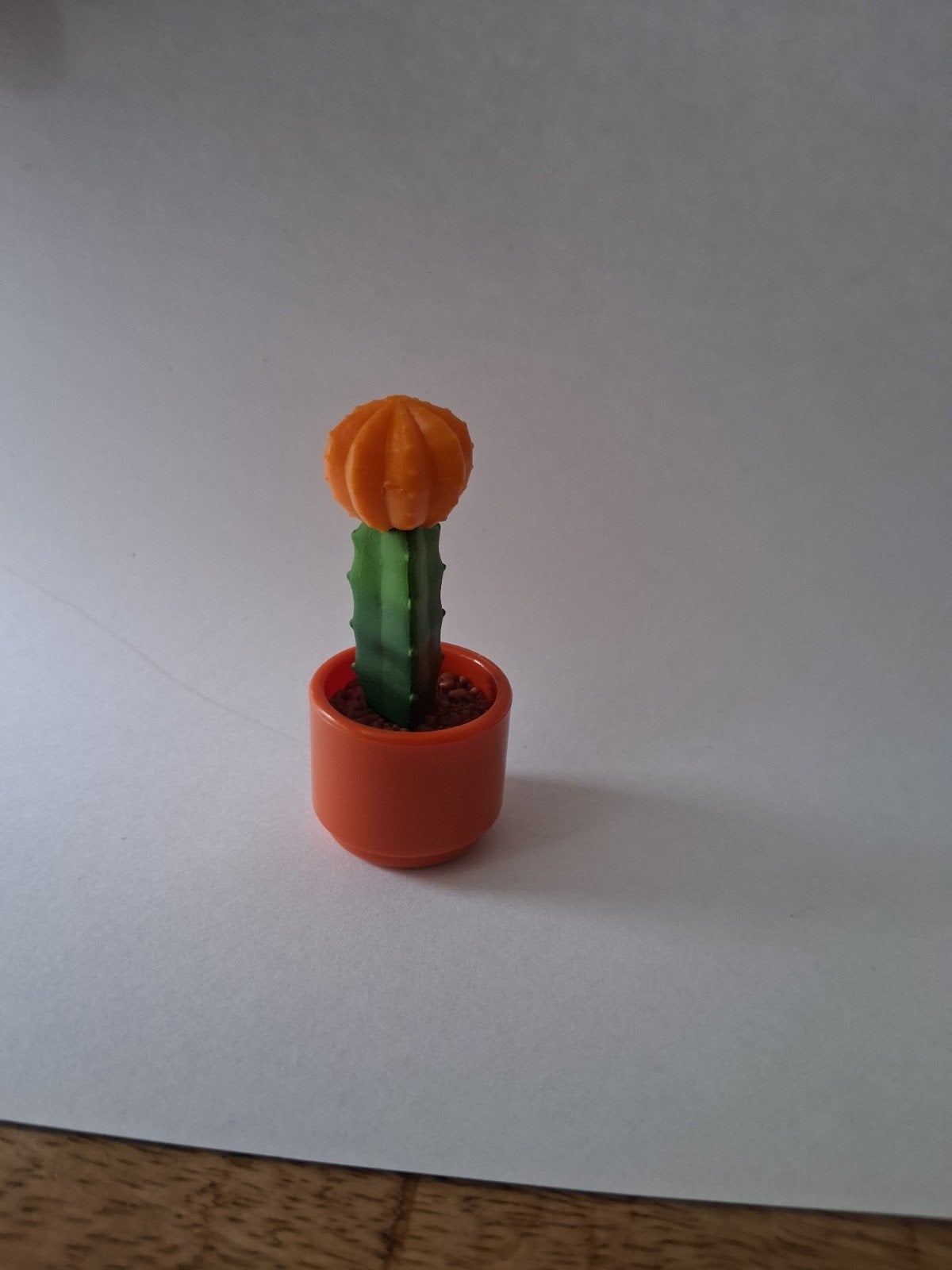 Miniatuur Zulu Cactus in Oranje Potje, Ophalen of Verzenden, Nieuw, Jongen of Meisje