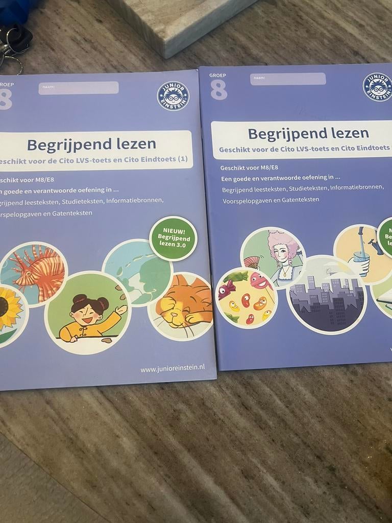 Cito groep 8, Ophalen of Verzenden, Zo goed als nieuw, Overige niveaus, Nederlands