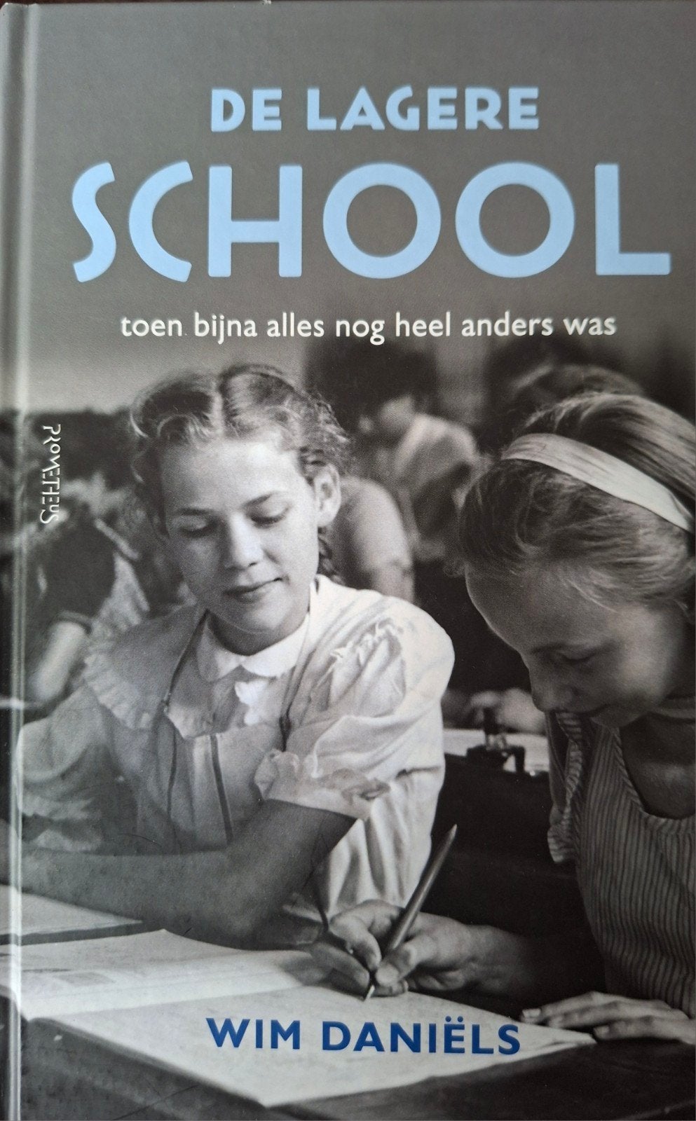 Wim Daniëls - De lagere school, Boeken, Ophalen of Verzenden, Zo goed als nieuw, Wim Daniëls