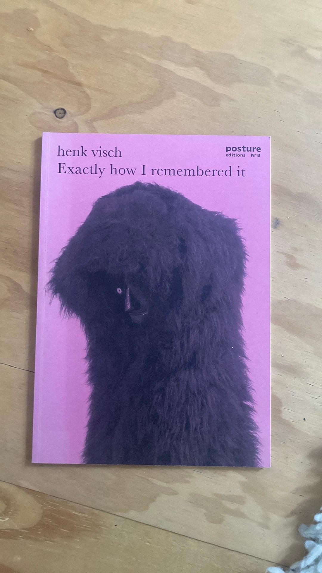 Posture editions #8 Henk Visch, Ophalen of Verzenden, Gelezen
