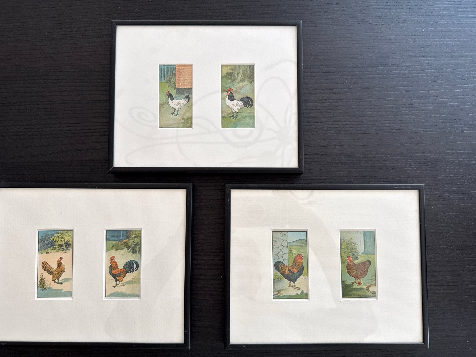 Set van 3 ingelijste prenten met hanen en kippen, Minder dan 50 cm, Gebruikt, Ophalen of Verzenden, Print