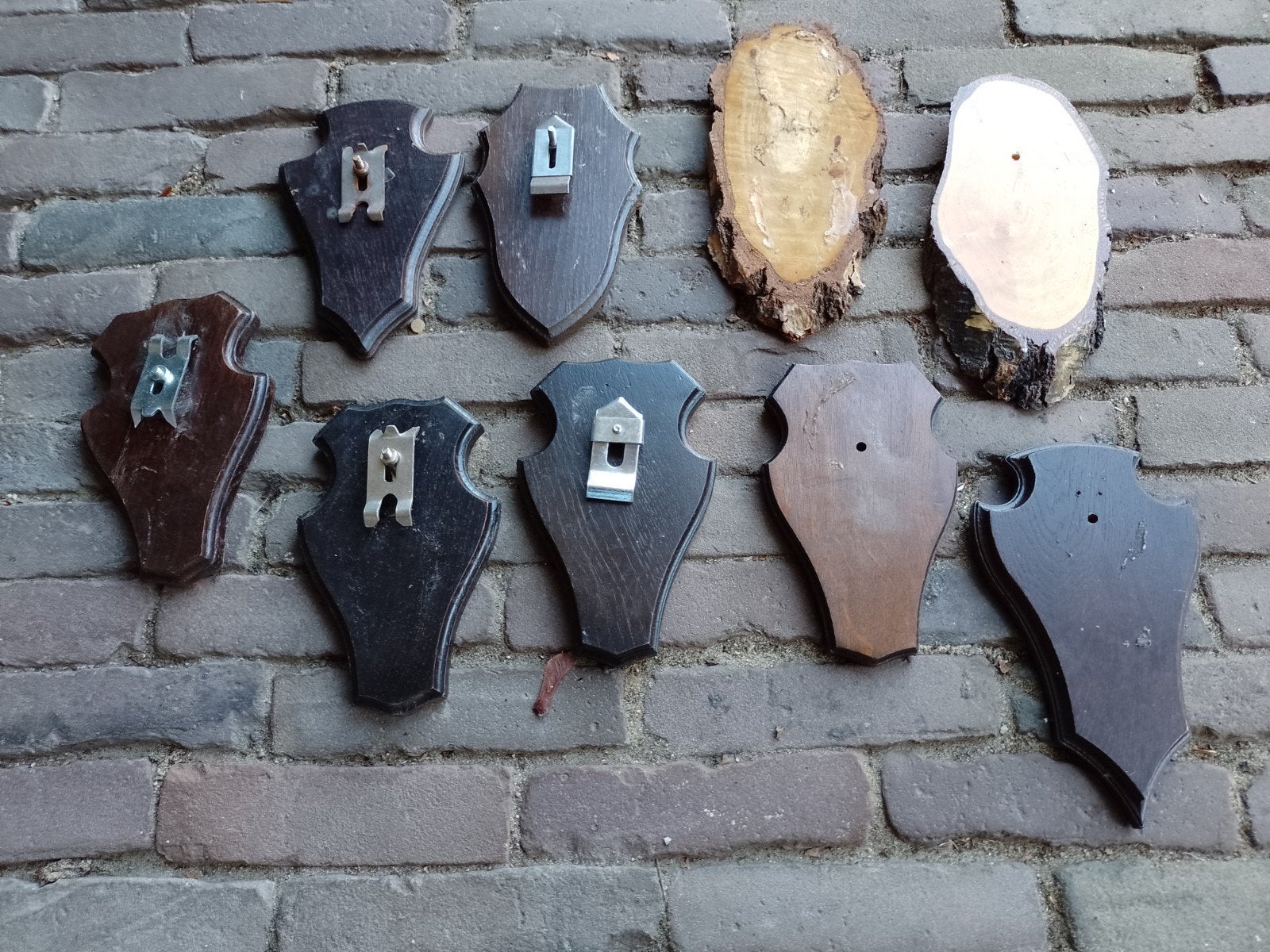 Schildjes trofee plankjes reebok ree, Ophalen of Verzenden, Hert
