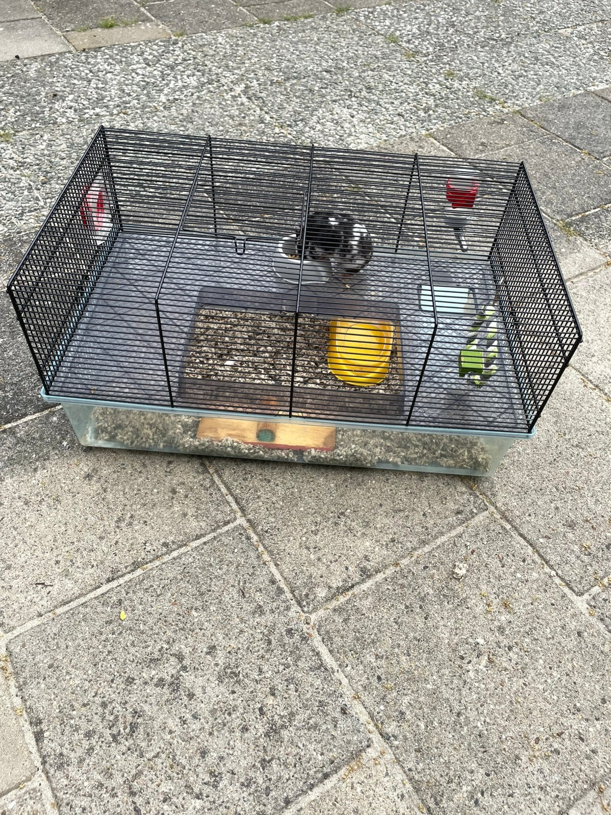 Hamster (vrouwtje) met hamsterkooi, Dieren en Toebehoren, Knaagdieren en Konijnen | Hokken en Kooien, Kooi, Minder dan 75 cm, Zo goed als nieuw