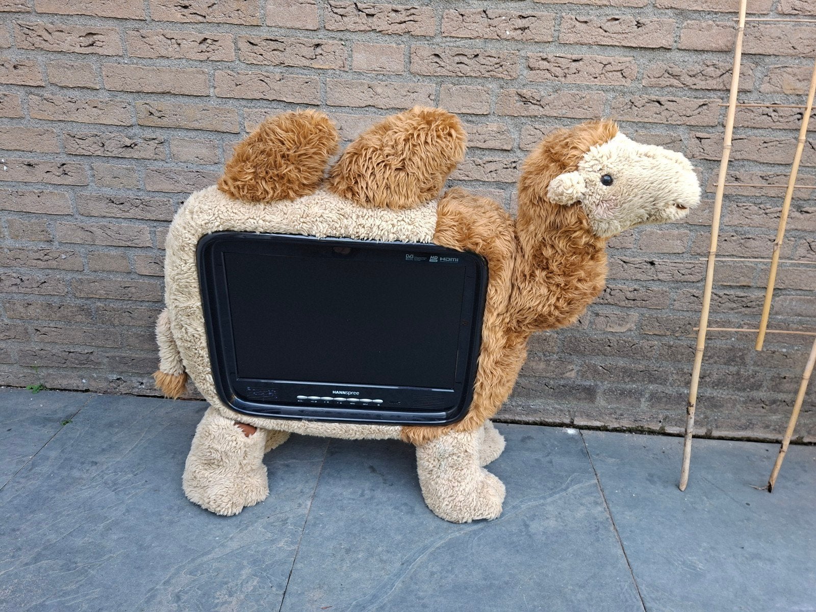 Hannspree Kameel TV - Goed werkende 43 cm LCD TV, Gebruikt, 50 Hz, 100 cm of meer, Ophalen