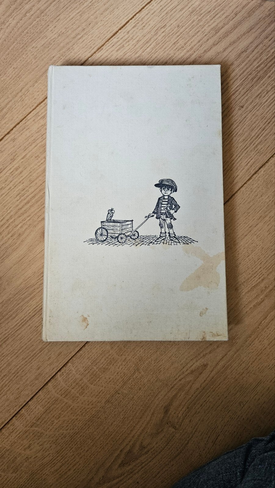 De Kleine Kapitein - Paul Biegel (Vintage Boek), Ophalen of Verzenden, Gelezen, Paul Biegel, Fictie algemeen