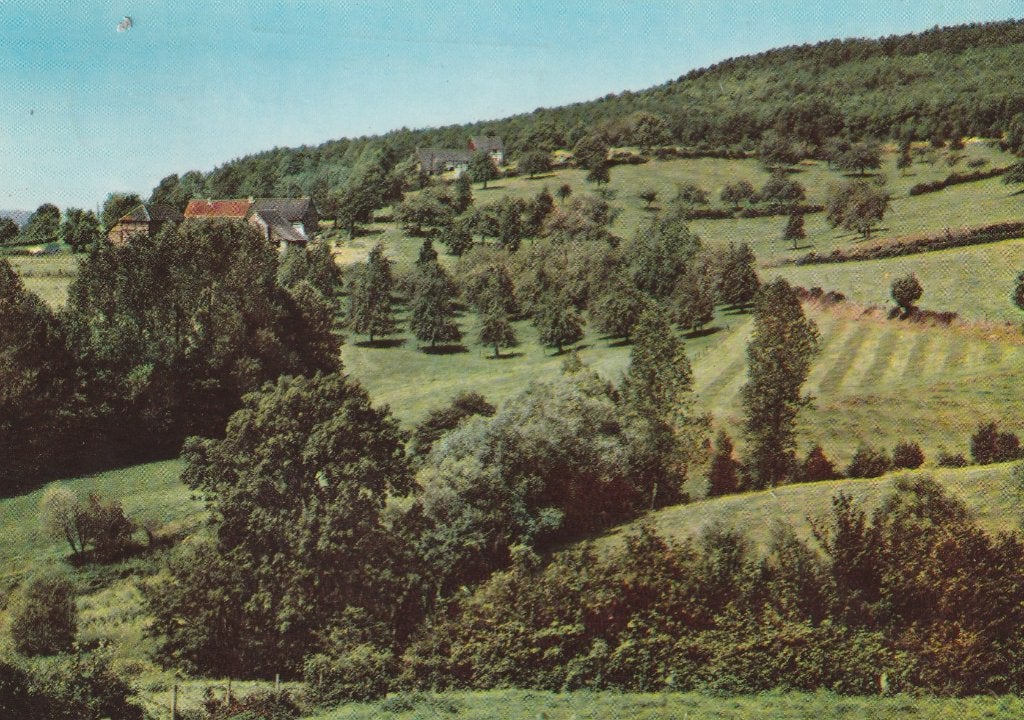 ZUID LIMBURG Panorama, Verzamelen, Verzenden, 1960 tot 1980, Gelopen, Limburg