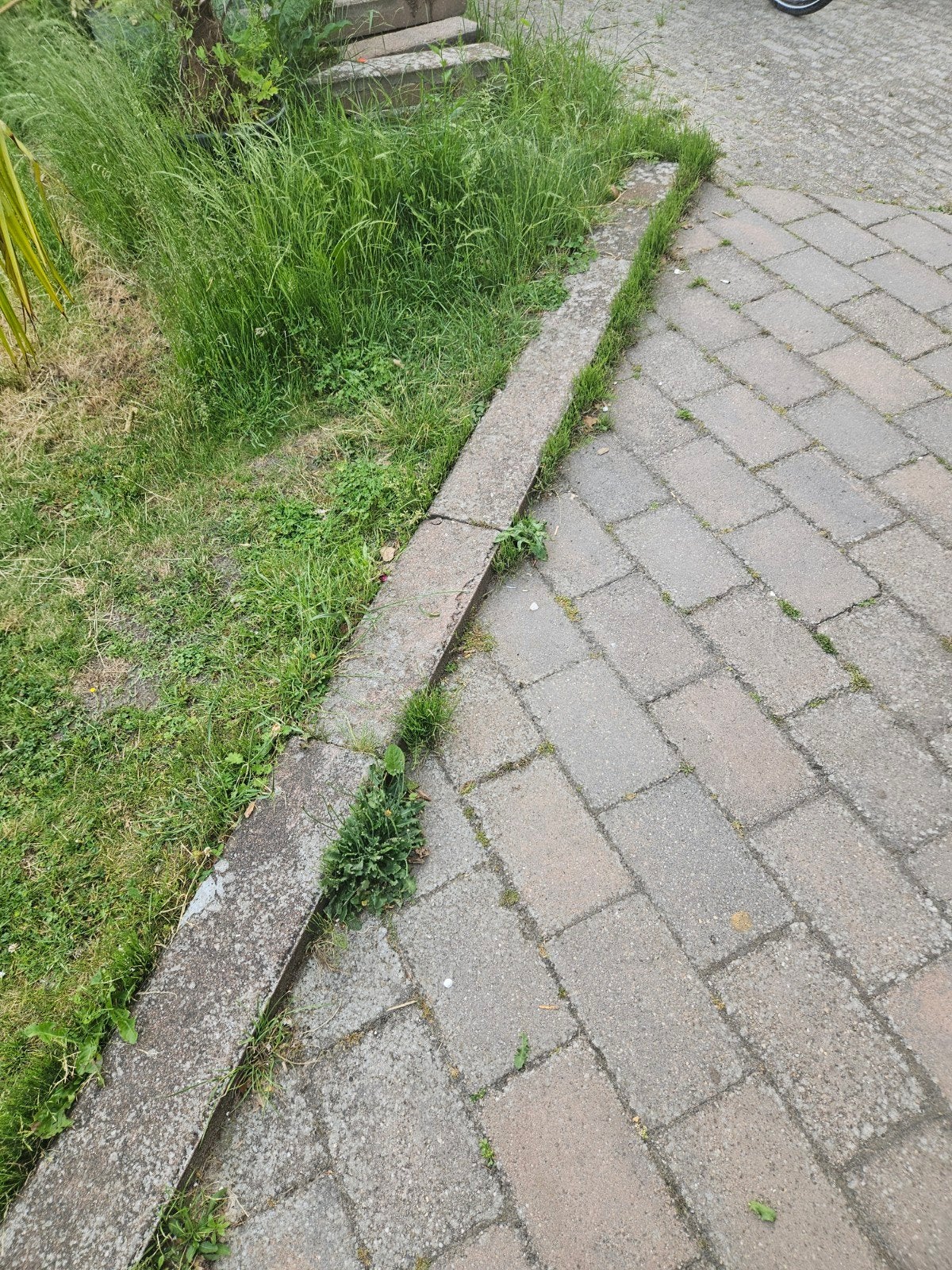 Betonbielzen 120x20x11 cm - Ideaal voor tuin en terras, Tuin en Terras, Gebruikt, 100 tot 200 cm, Biels, Ophalen of Verzenden