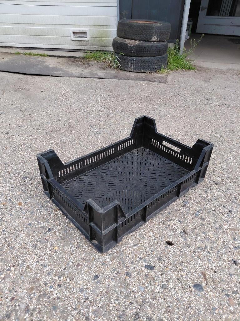 plastic bak bakken krat kratten broeibak stapelkrat Wafin, Ophalen, 40 tot 60 cm, 50 tot 75 cm, Zo goed als nieuw