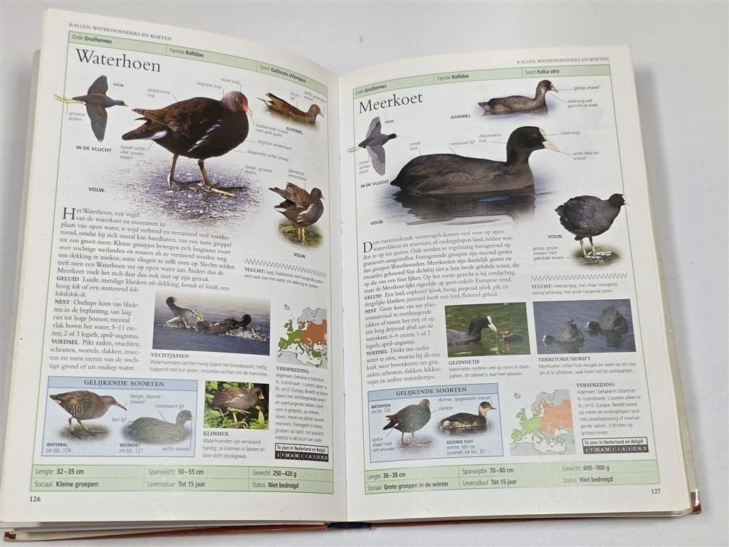 Vogels van Europa — Capitool Veldgids, Naslagwerk, Boeken, Ophalen of Verzenden, Gelezen, Vogels