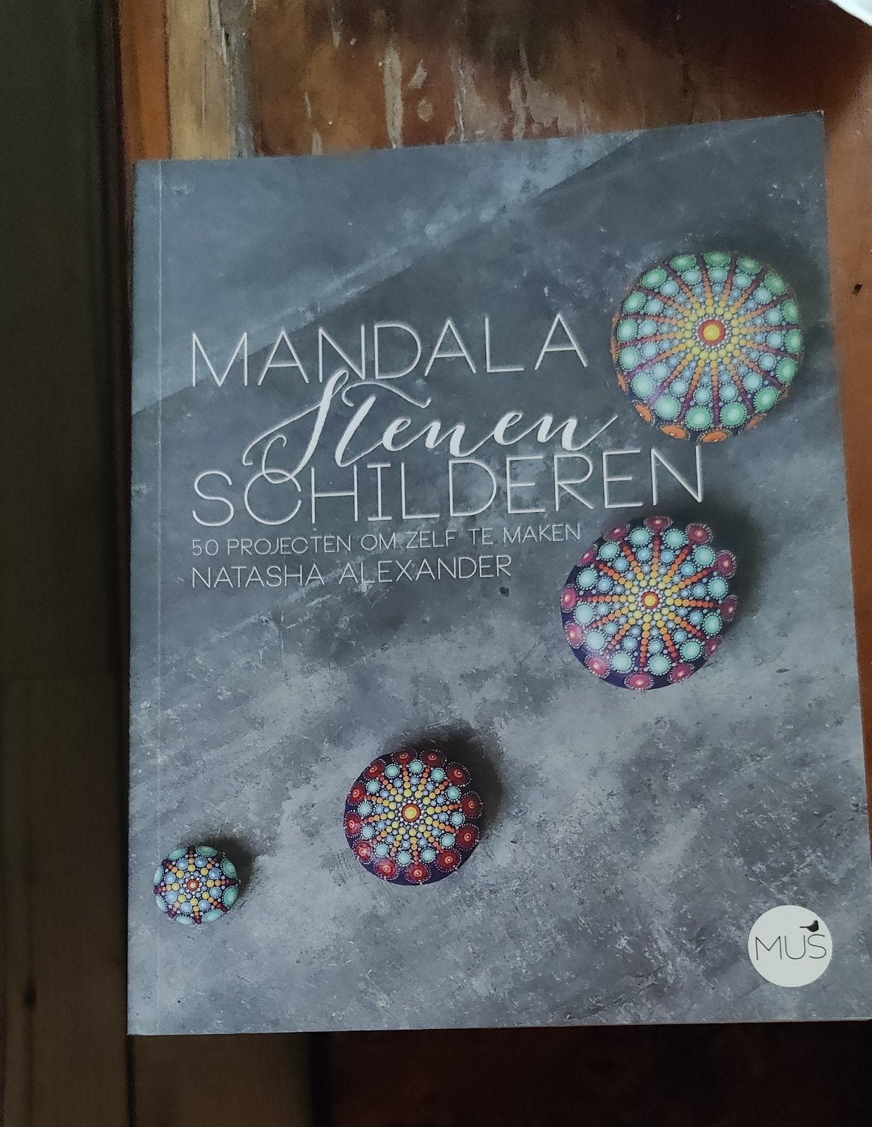Mandala Stenen Schilderen - 50 projecten om zelf te maken, Hobby en Vrije tijd, Ophalen of Verzenden, Zo goed als nieuw, Overige typen