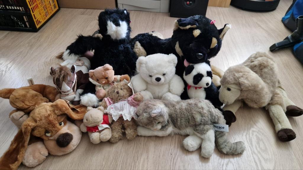 10 knuffels pluche Russ Berry, Ophalen, Nieuw, Hond