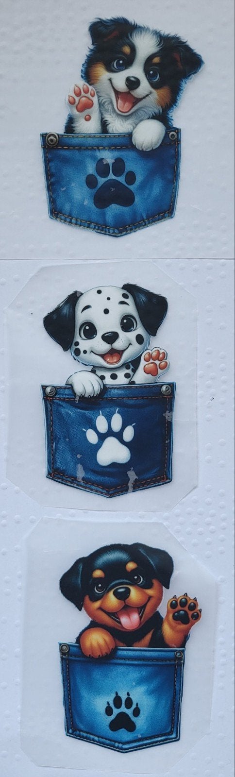Nieuw  strijkplaatjes kittens, puppy  poes/ hond, Ophalen of Verzenden, Nieuw, Overige thema's, Overige typen