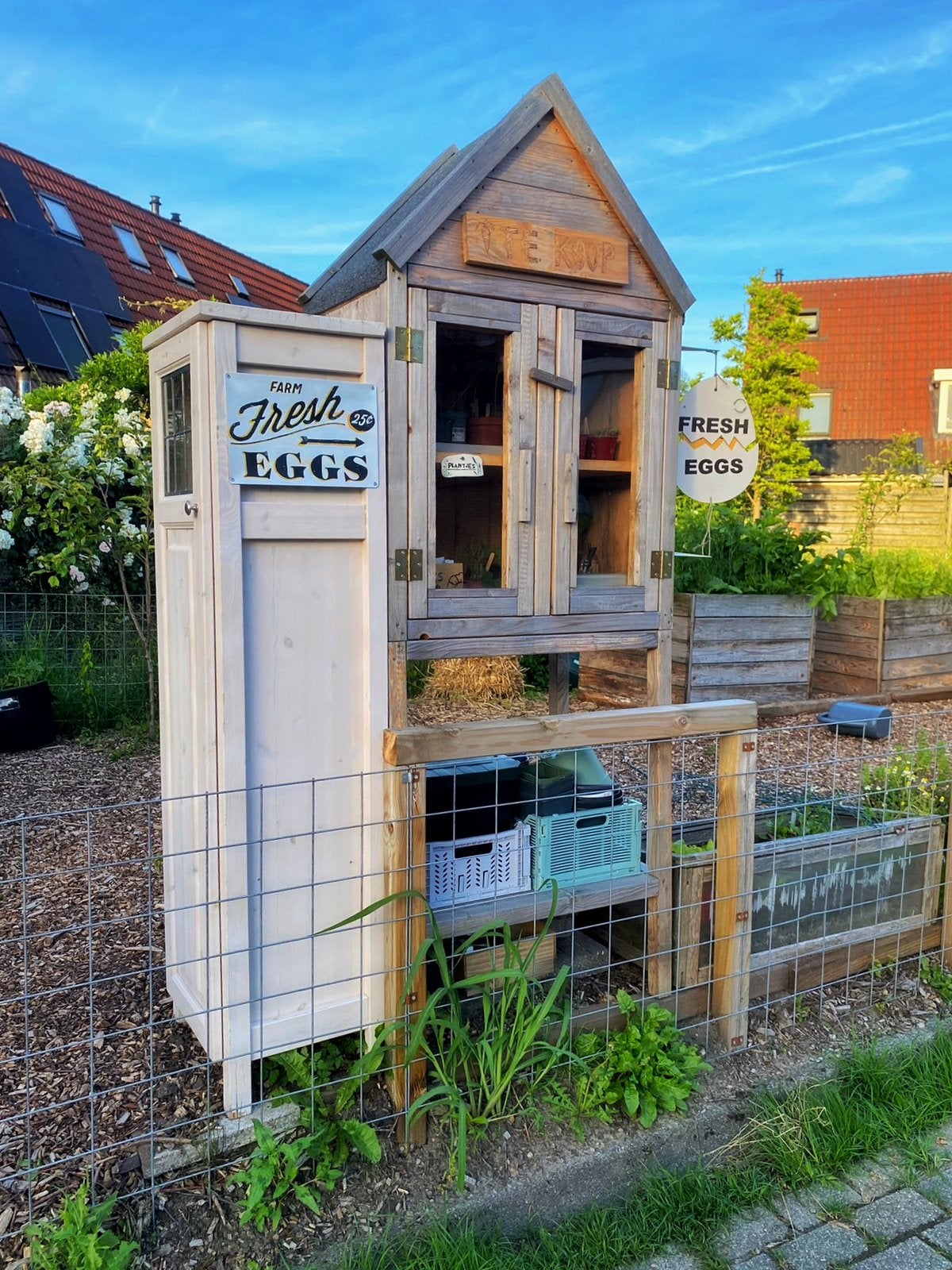 Buurtmoestuin - Plantjes/eitjes/zaadjes en meer!, Ophalen, Volle zon