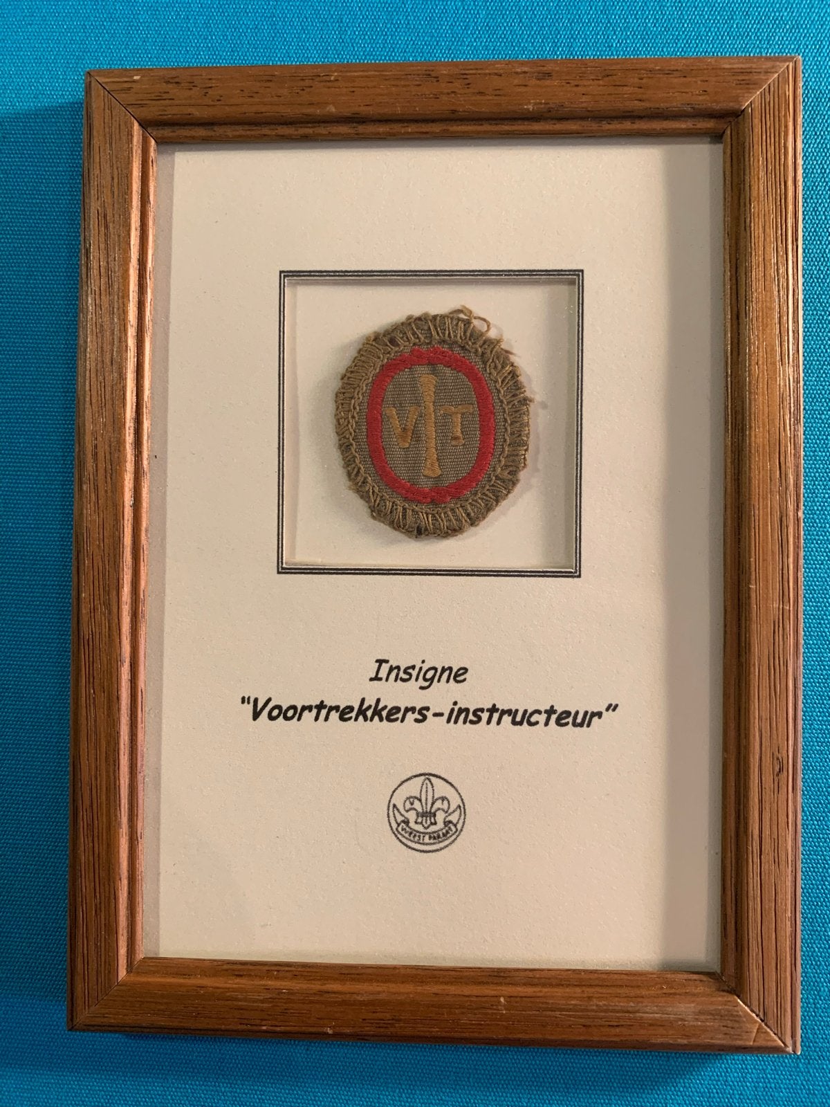 Zeldzaam Scoutinginsigne Voortrekkersinstructeur (ingelijst), Ophalen of Verzenden, Gebruikt, Embleem, Speld of Insigne