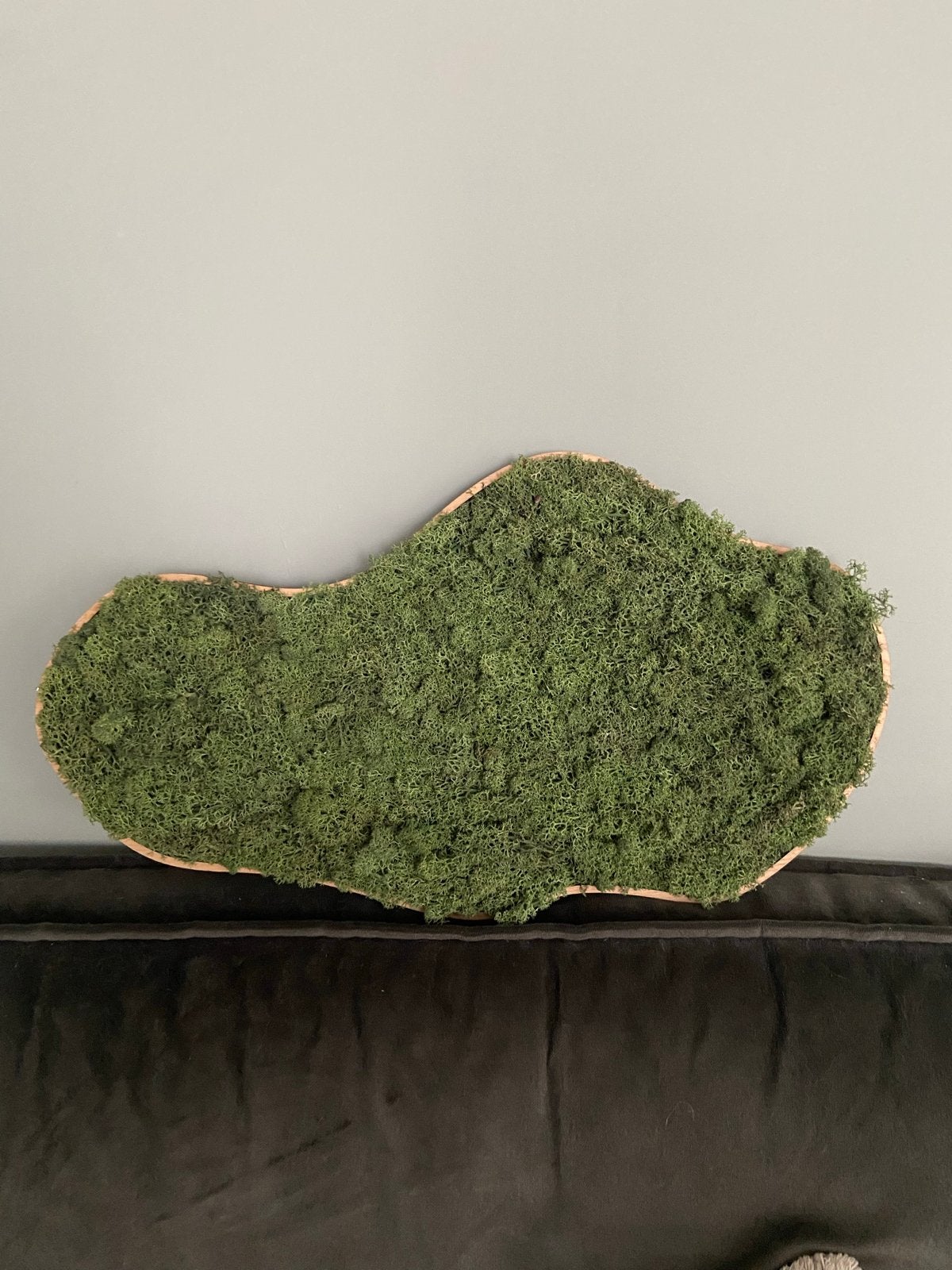 Uniek Mos Kunstwerk - Natuurlijke Wanddecoratie, Ophalen, Groen, Nieuw, Natuurlijk materiaal