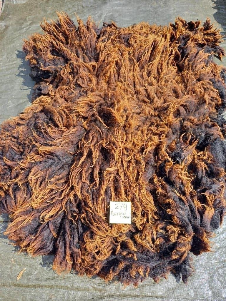 nr 279 Geschoren vacht van een bergschaap - Bruin/Zwart, Ophalen of Verzenden, Gebruikt