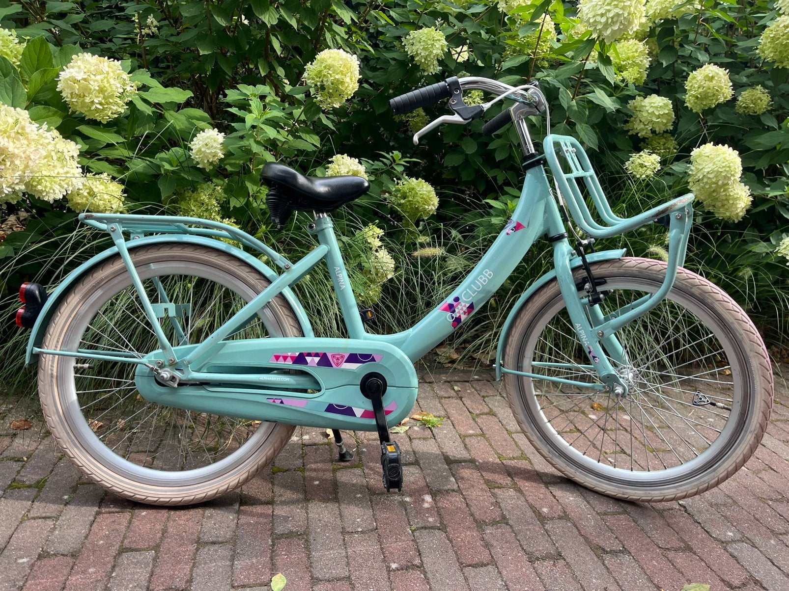 Alpina clubb Meisjesfiets 20 inch, Ophalen, Gebruikt, 20 inch