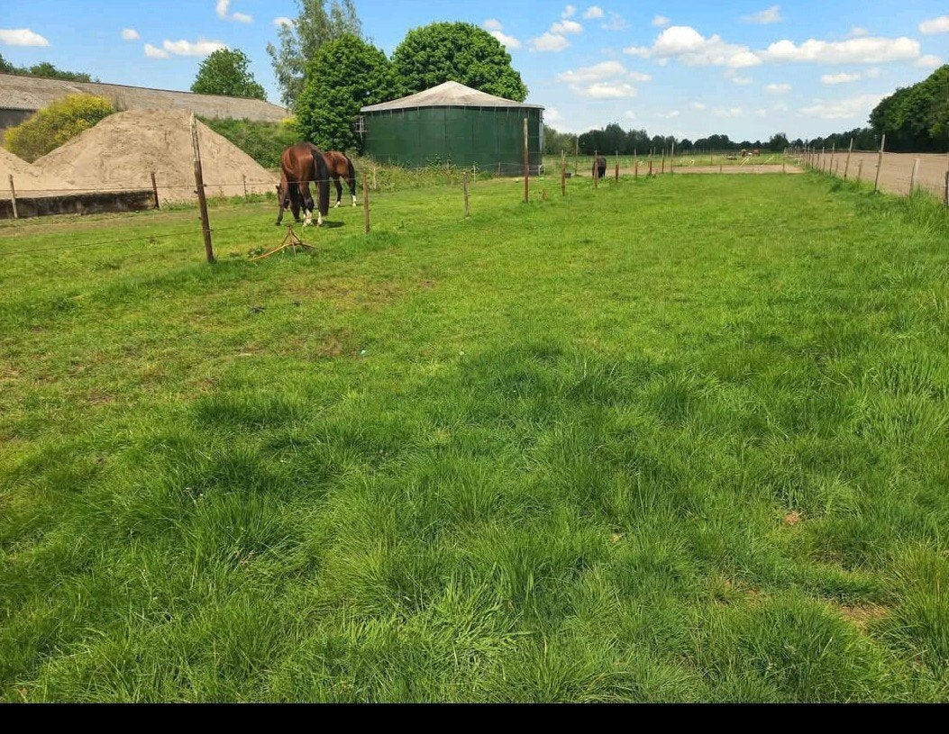 1 plek beschikbaar pony/paard in eigen beheer half pension
