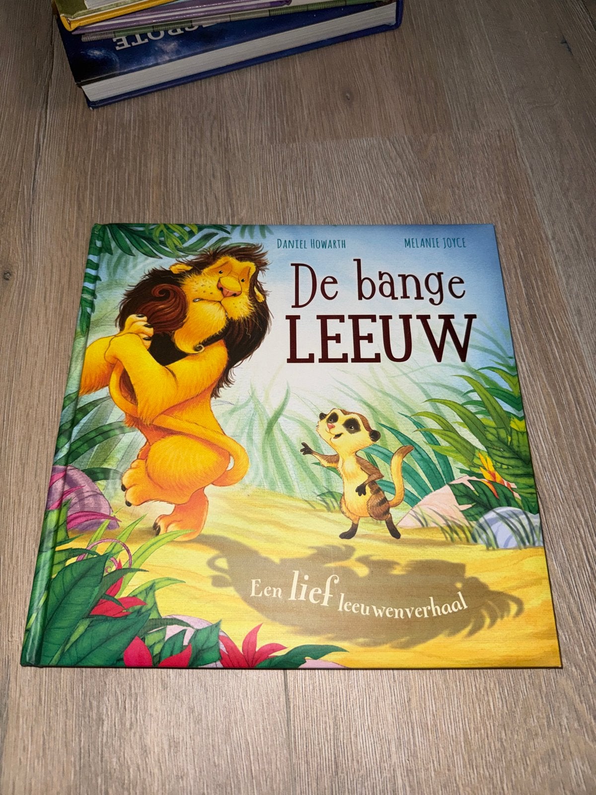 De Bange Leeuw - Een lief leeuwenverhaal, Boeken, Kinderboeken | Kleuters, Fictie algemeen, Jongen of Meisje, Ophalen of Verzenden