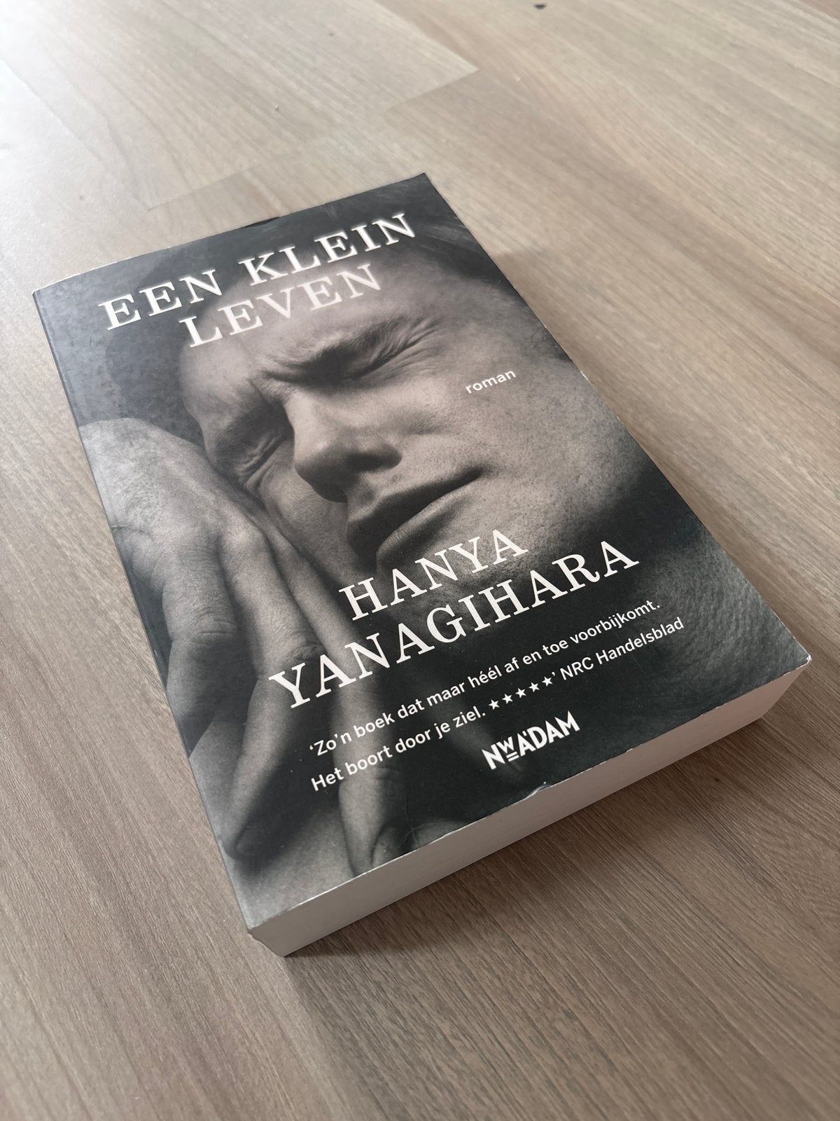 Een Klein Leven - Hanya Yanagihara (Roman), Boeken, Ophalen, Gelezen, Europa overig