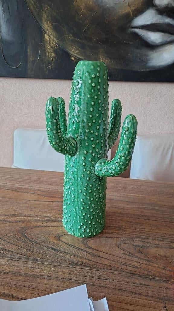 Cactus vaas, Ophalen, Aardewerk of Porselein, Nieuw, Minder dan 50 cm