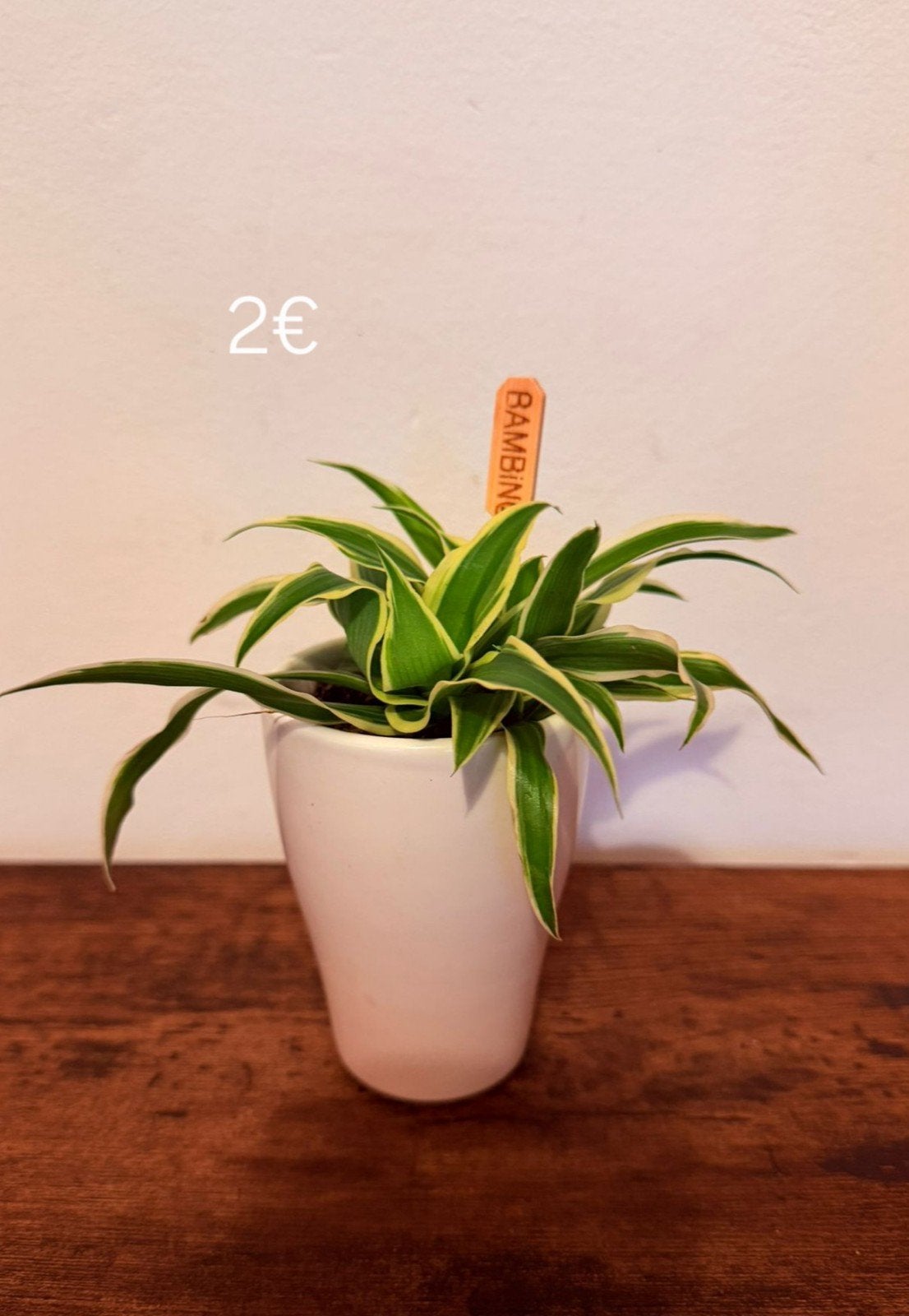 Planten, Ophalen