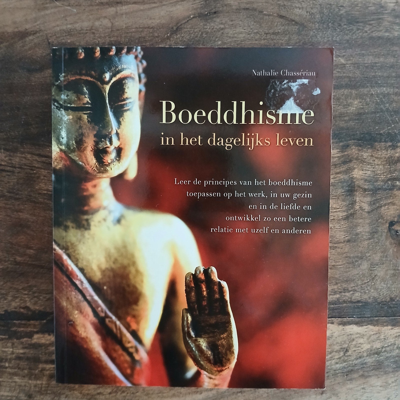 Boedisme in het dagelijks leven, Ophalen of Verzenden, Zo goed als nieuw, Overige onderwerpen, Instructieboek