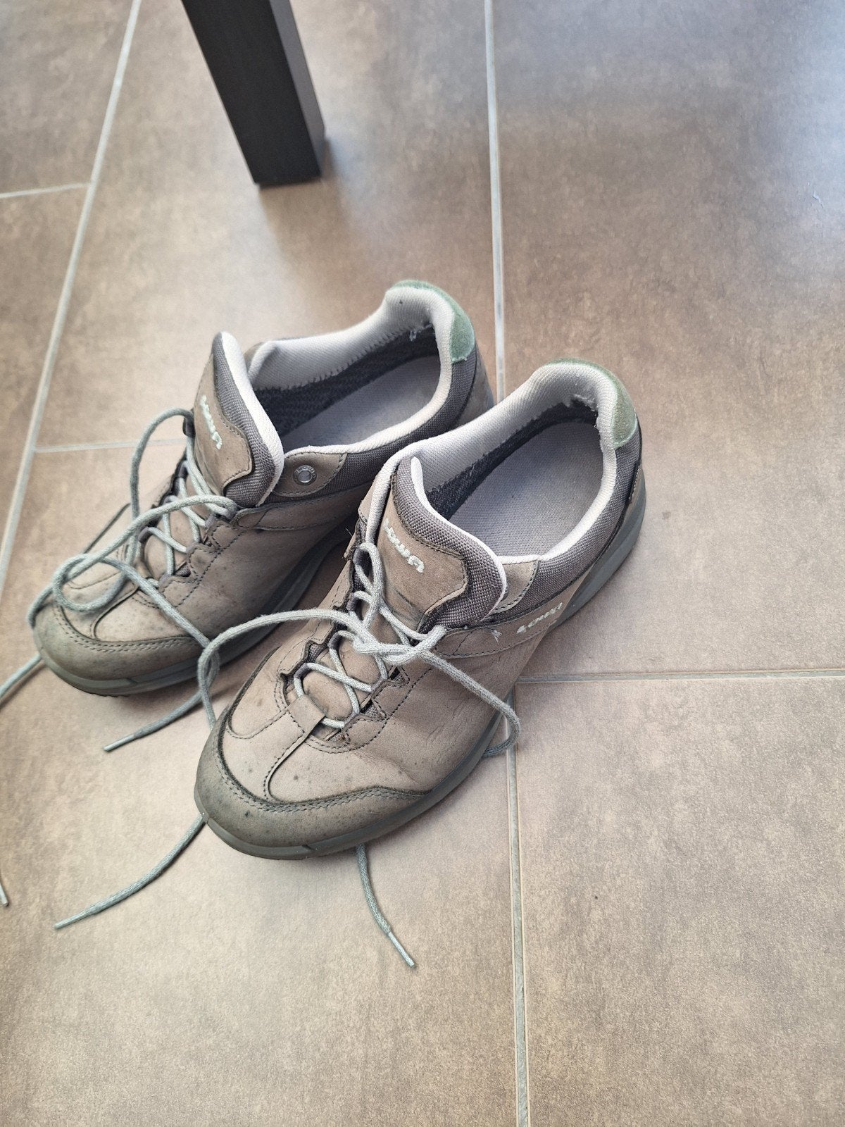 Lowa wandelschoenen maat 41, Ophalen of Verzenden, Gedragen, Overige kleuren