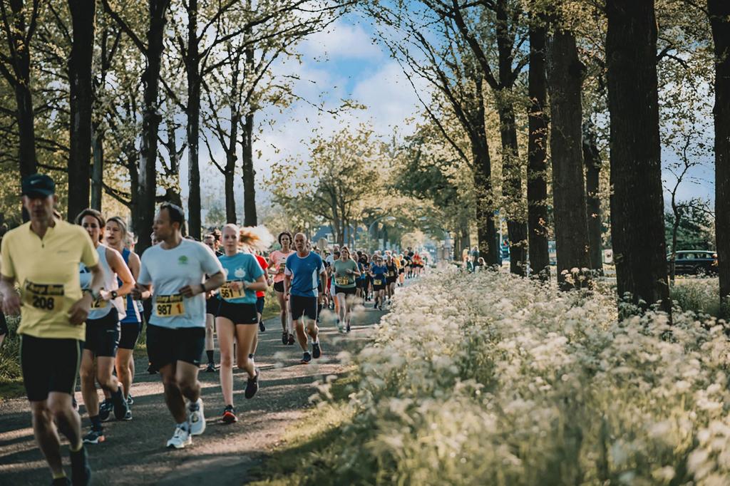 Halve marathon kastelenloop in Diepenheim, Eén persoon, Ticket of Toegangskaart